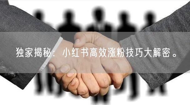 独家揭秘：小红书高效涨粉技巧大解密。