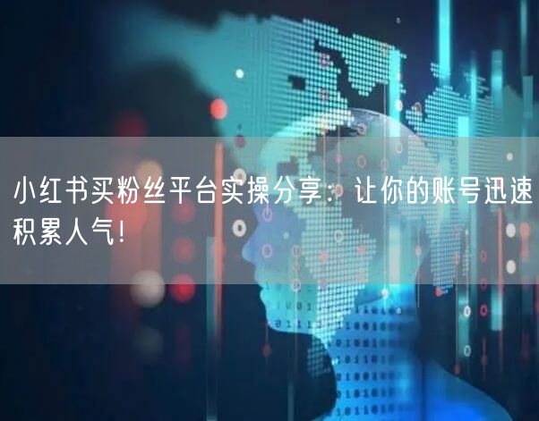 小红书买粉丝平台实操分享:让你的账号迅速积累人气!