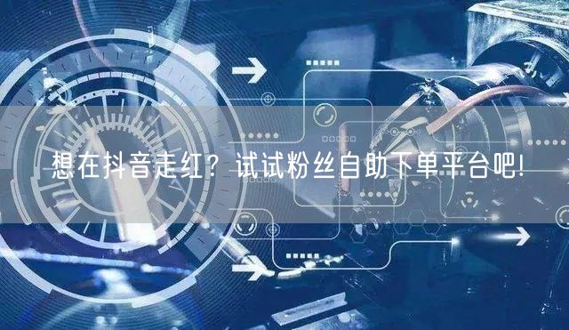 想在抖音走红？试试粉丝自助下单平台吧!
