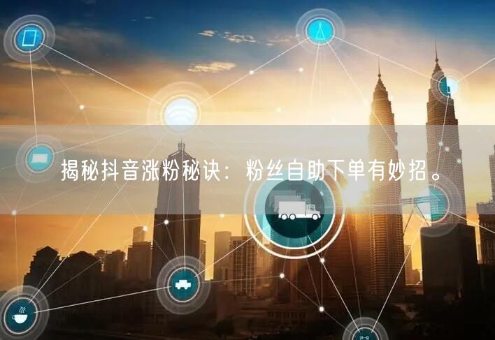 揭秘抖音涨粉秘诀：粉丝自助下单有妙招。