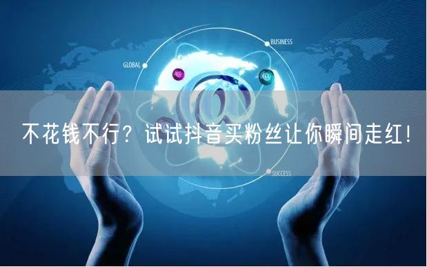 不花钱不行?试试抖音买粉丝让你瞬间走红!