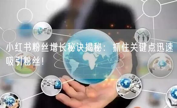 小红书粉丝增长秘诀揭秘：抓住关键点迅速吸引粉丝！