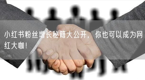 小红书粉丝增长秘籍大公开，你也可以成为网红大咖！