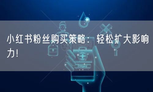 小红书粉丝购买策略：轻松扩大影响力！