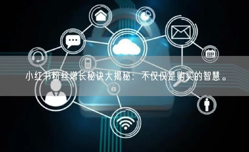 小红书粉丝增长秘诀大揭秘：不仅仅是购买的智慧。