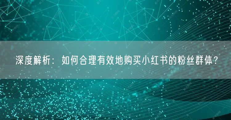 深度解析：如何合理有效地购买小红书的粉丝群体？