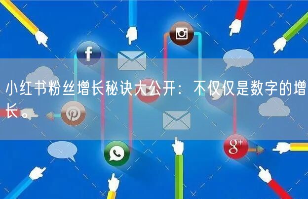 小红书粉丝增长秘诀大公开：不仅仅是数字的增长。