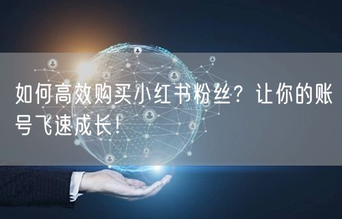如何高效购买小红书粉丝？让你的账号飞速成长！