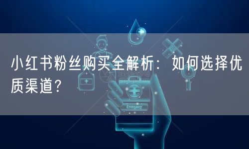 小红书粉丝购买全解析：如何选择优质渠道？