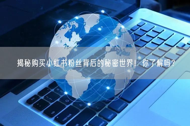 揭秘购买小红书粉丝背后的秘密世界！你了解吗？