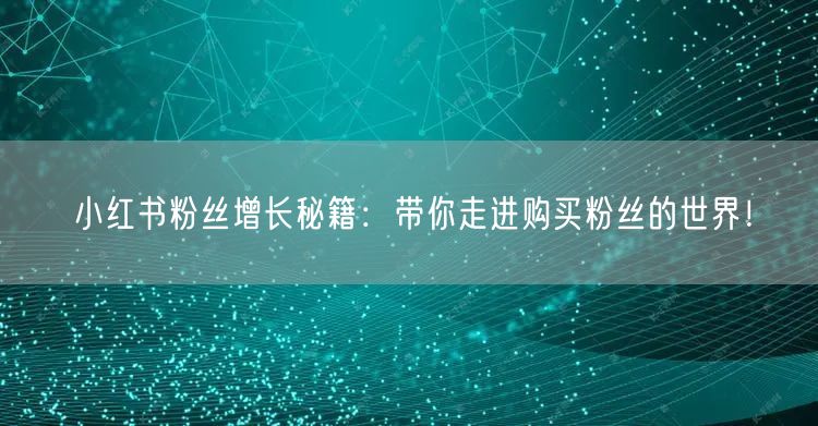 小红书粉丝增长秘籍：带你走进购买粉丝的世界！
