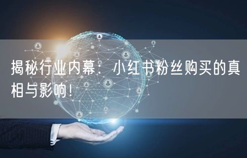 揭秘行业内幕：小红书粉丝购买的真相与影响！
