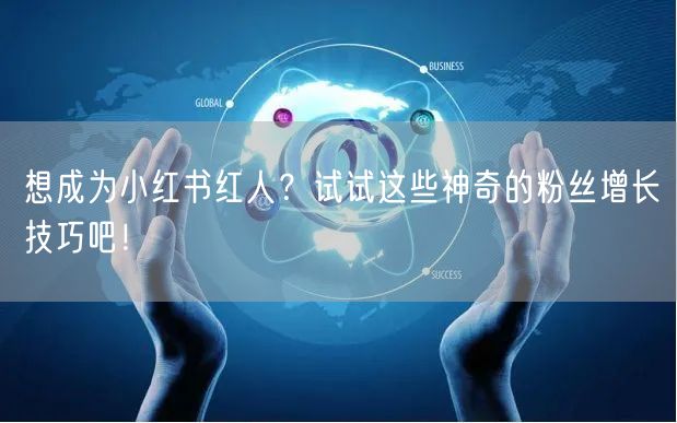 想成为小红书红人？试试这些神奇的粉丝增长技巧吧！
