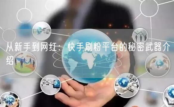 从新手到网红：快手刷粉平台的秘密武器介绍