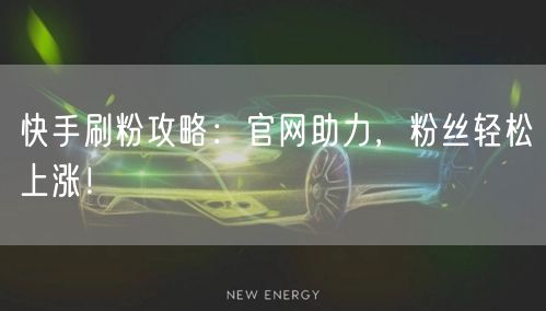 快手刷粉攻略：官网助力，粉丝轻松上涨！