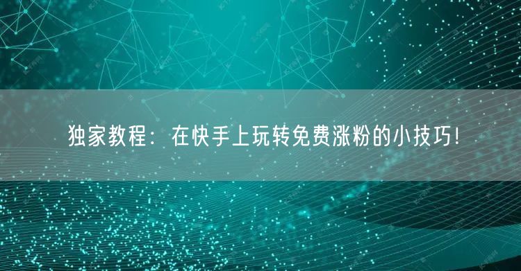 独家教程：在快手上玩转免费涨粉的小技巧！