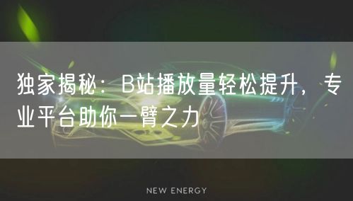 独家揭秘：B站播放量轻松提升，专业平台助你一臂之力