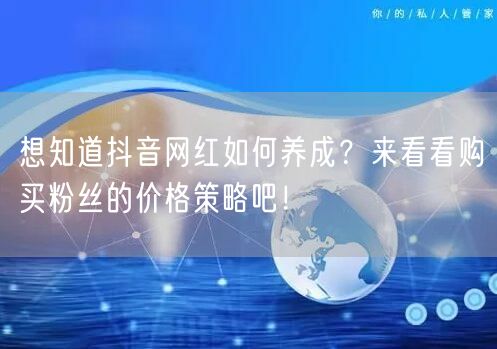 想知道抖音网红如何养成？来看看购买粉丝的价格策略吧！
