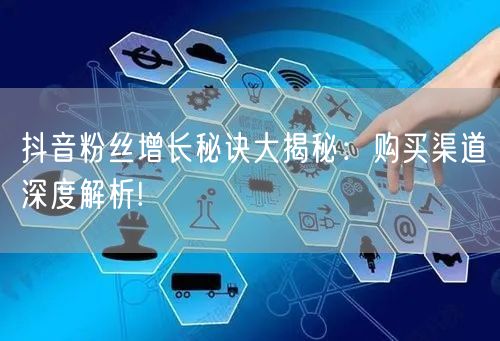 抖音粉丝增长秘诀大揭秘：购买渠道深度解析!