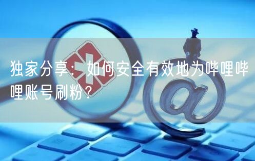 独家分享：如何安全有效地为哔哩哔哩账号刷粉？
