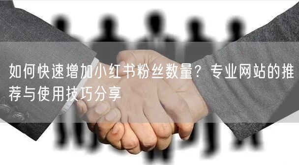 如何快速增加小红书粉丝数量？专业网站的推荐与使用技巧分享