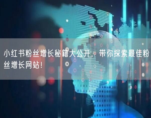 小红书粉丝增长秘籍大公开，带你探索最佳粉丝增长网站！