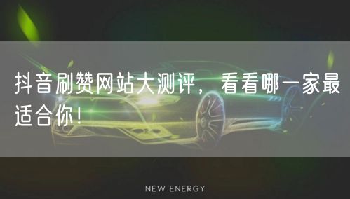 抖音刷赞网站大测评，看看哪一家最适合你！