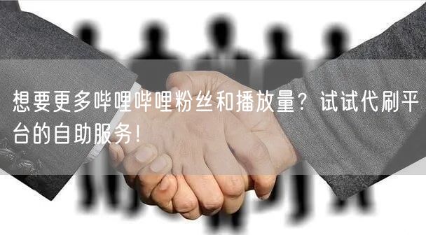 想要更多哔哩哔哩粉丝和播放量？试试代刷平台的自助服务！