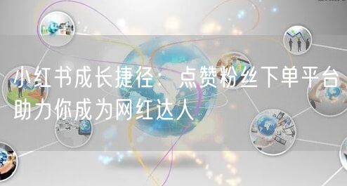 小红书成长捷径：点赞粉丝下单平台助力你成为网红达人