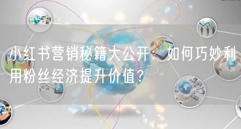 小红书营销秘籍大公开：如何巧妙利用粉丝经济提升价值？