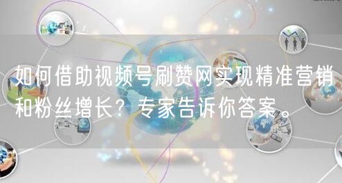 如何借助视频号刷赞网实现精准营销和粉丝增长？专家告诉你答案。