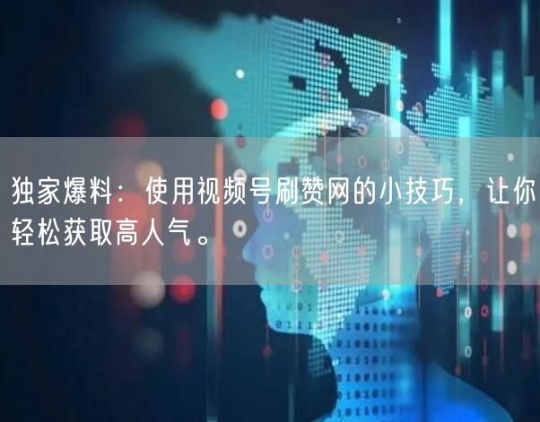 独家爆料：使用视频号刷赞网的小技巧，让你轻松获取高人气。