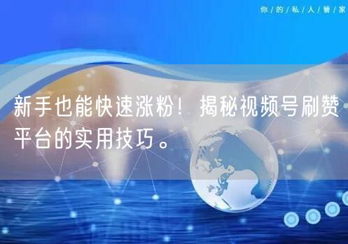 新手也能快速涨粉！揭秘视频号刷赞平台的实用技巧。