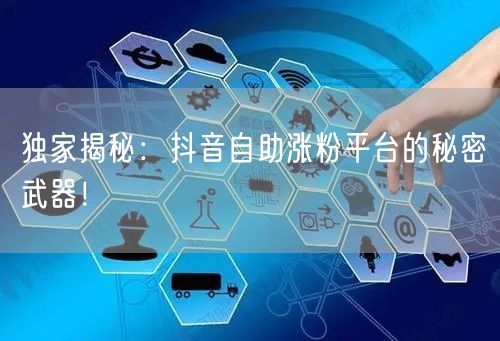 独家揭秘：抖音自助涨粉平台的秘密武器！
