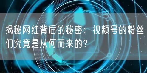 揭秘网红背后的秘密：视频号的粉丝们究竟是从何而来的？