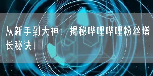从新手到大神：揭秘哔哩哔哩粉丝增长秘诀！