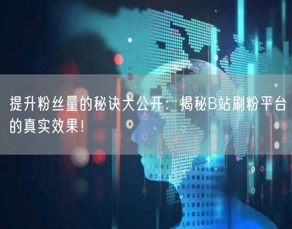 提升粉丝量的秘诀大公开：揭秘B站刷粉平台的真实效果！