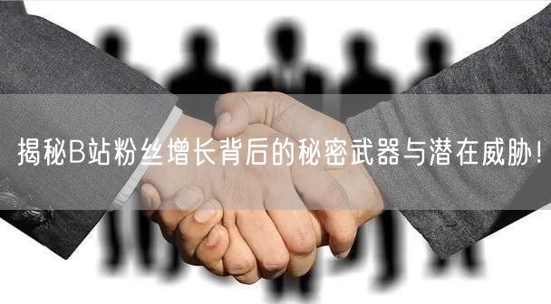 揭秘B站粉丝增长背后的秘密武器与潜在威胁！
