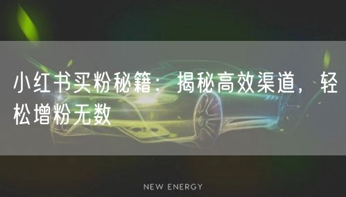 小红书买粉秘籍：揭秘高效渠道，轻松增粉无数