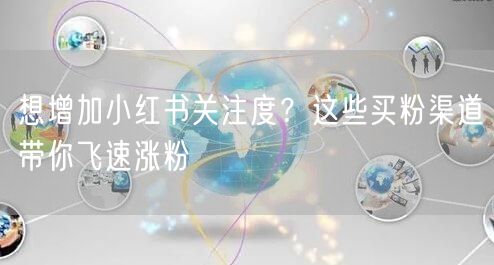 想增加小红书关注度？这些买粉渠道带你飞速涨粉