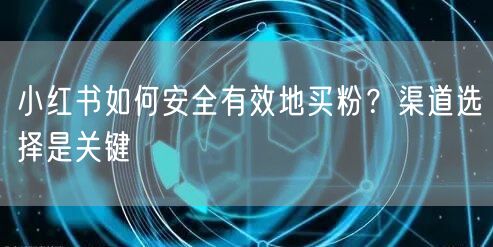 小红书如何安全有效地买粉？渠道选择是关键