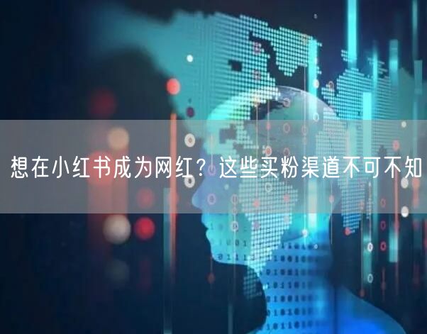 想在小红书成为网红？这些买粉渠道不可不知