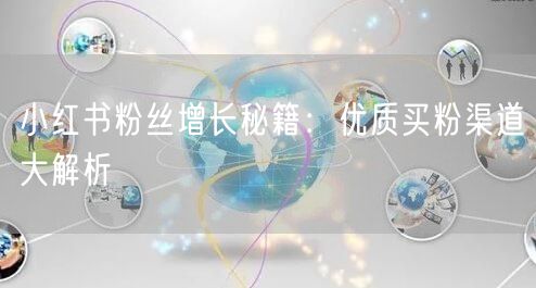 小红书粉丝增长秘籍：优质买粉渠道大解析