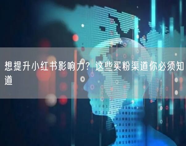 想提升小红书影响力？这些买粉渠道你必须知道