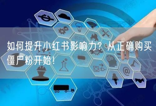 如何提升小红书影响力？从正确购买僵尸粉开始！