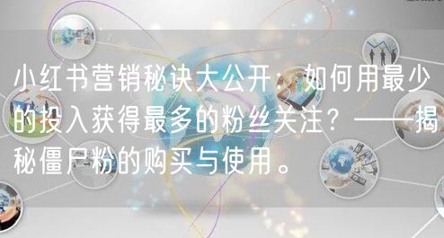 小红书营销秘诀大公开：如何用最少的投入获得最多的粉丝关注？——揭秘僵尸粉的购买与