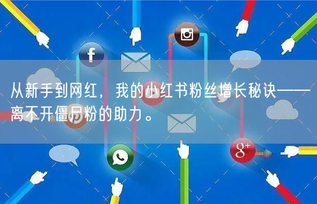从新手到网红，我的小红书粉丝增长秘诀——离不开僵尸粉的助力。