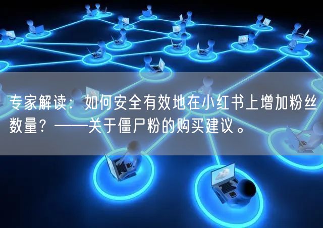 专家解读：如何安全有效地在小红书上增加粉丝数量？——关于僵尸粉的购买建议。
