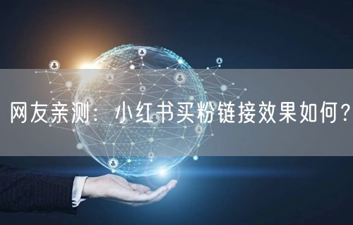 网友亲测：小红书买粉链接效果如何？