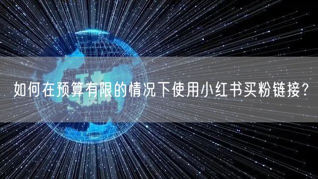 如何在预算有限的情况下使用小红书买粉链接？
